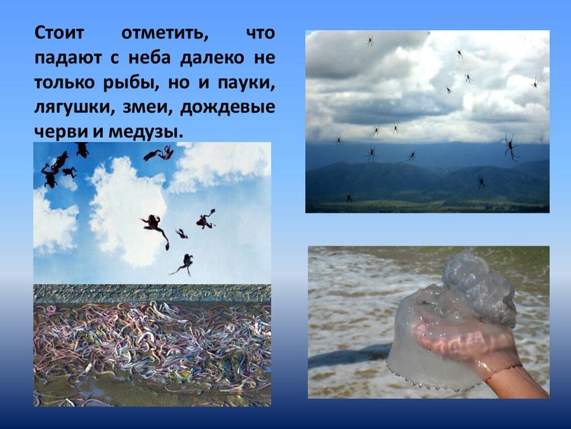 Стоит отметить, что падают с неба далеко не только рыбы, но и пауки, лягушки, змеи, дождевые черви и медузы