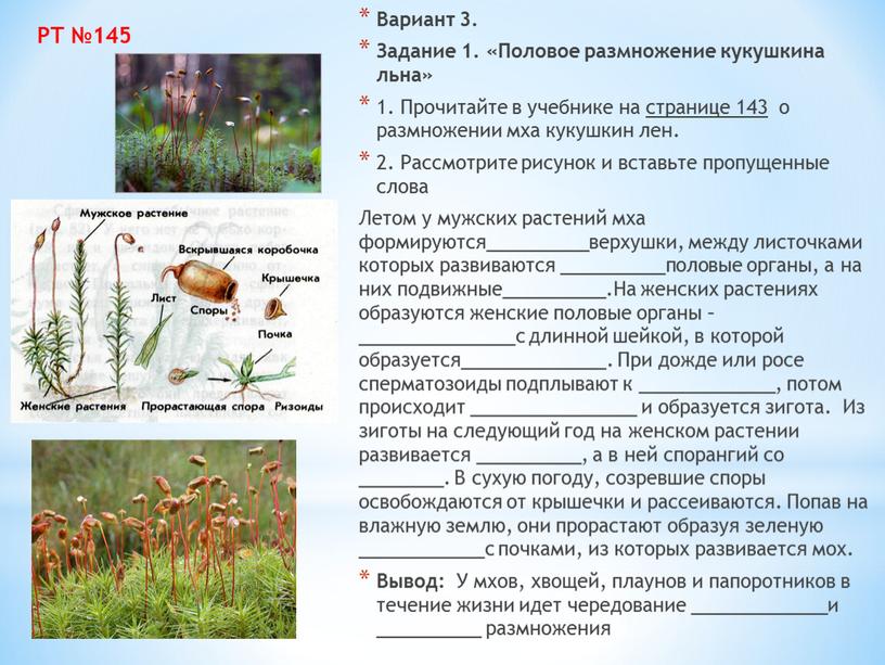 Вариант 3. Задание 1. «Половое размножение кукушкина льна» 1