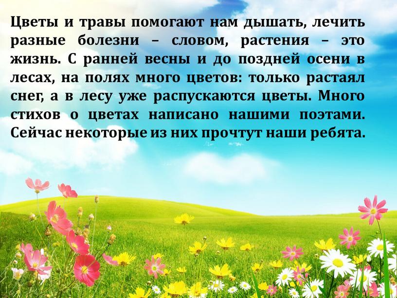 Цветы и травы помогают нам дышать, лечить разные болезни – словом, растения – это жизнь