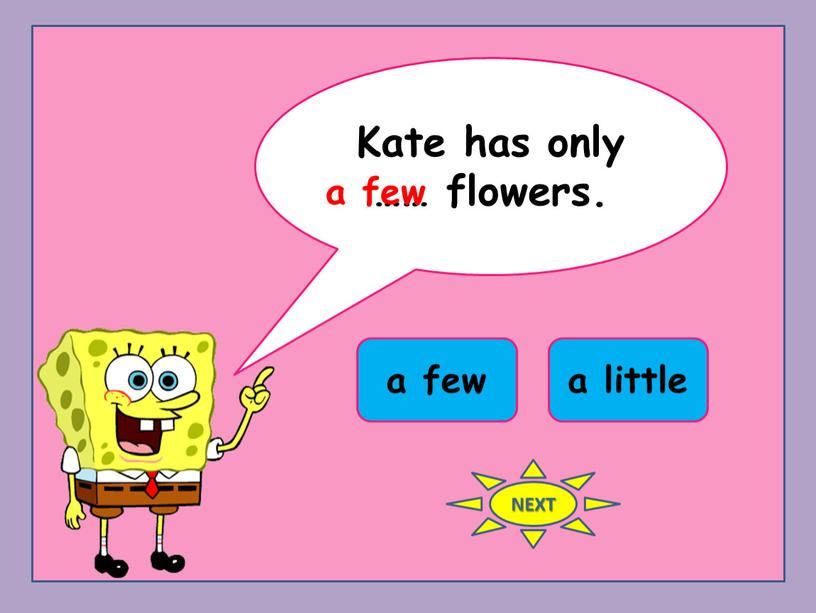 Kate has only …… flowers. a few a little a few