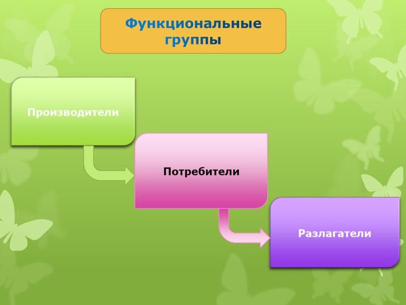 Функциональные группы Производители