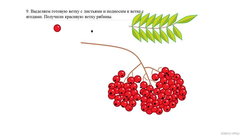 Выделяем готовую ветку с листьями и подносим к ветке с ягодами