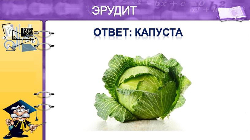 ЭРУДИТ Ответ: капуста