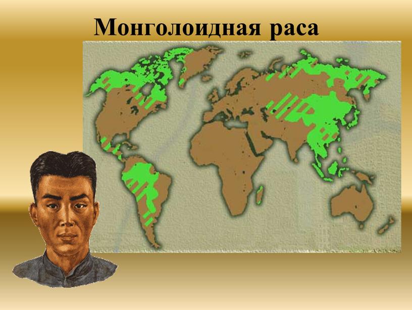 Монголоидная раса