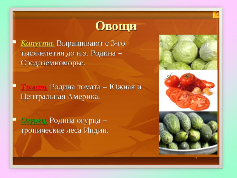 Презентация на тему: "Чистка овощей".