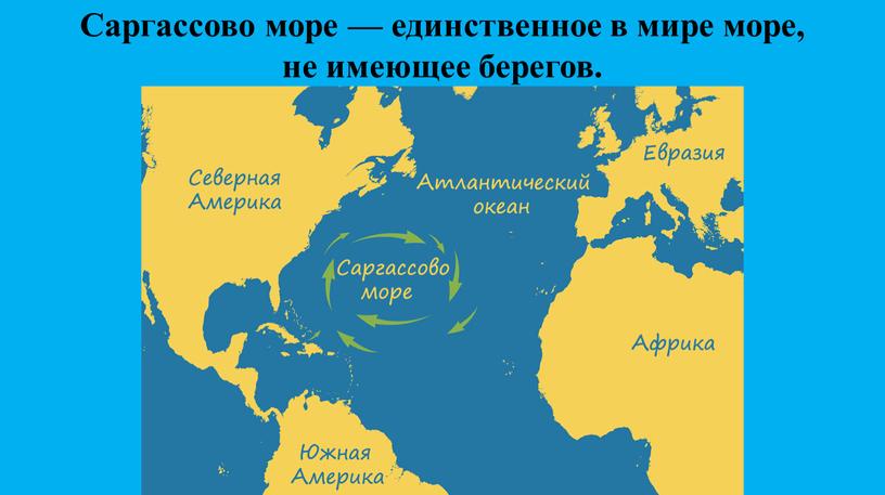 Саргассово море — единственное в мире море, не имеющее берегов