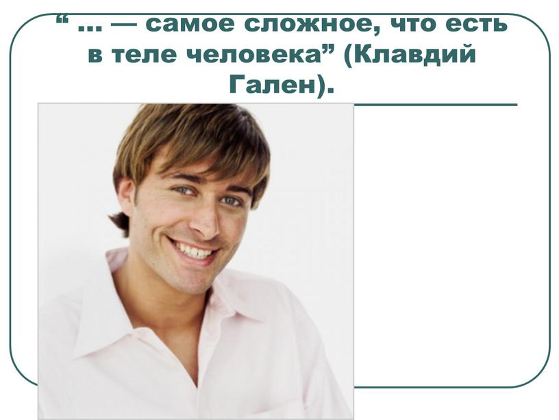 “ ... — самое сложное, что есть в теле человека” (Клавдий Гален).