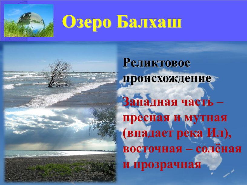 Озеро Балхаш Реликтовое происхождение