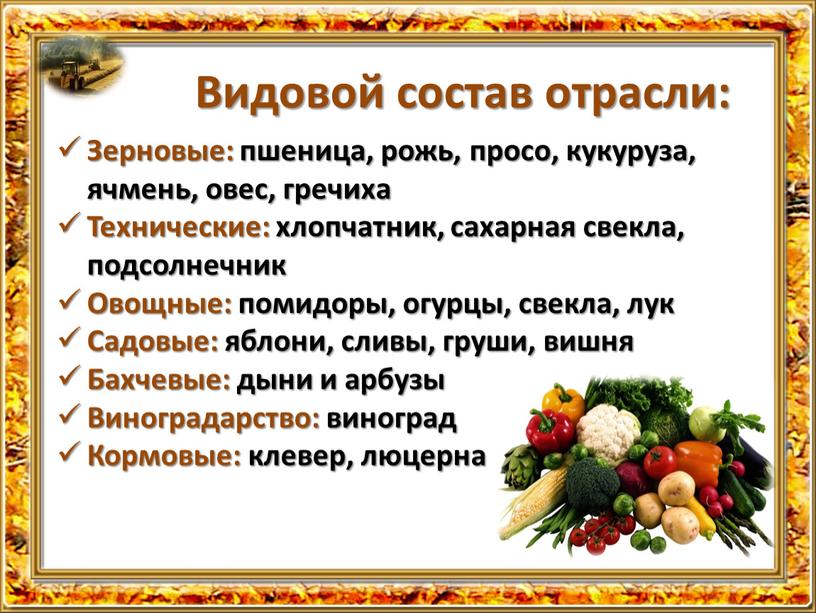 Видовой состав отрасли: Зерновые: пшеница, рожь, просо, кукуруза, ячмень, овес, гречиха