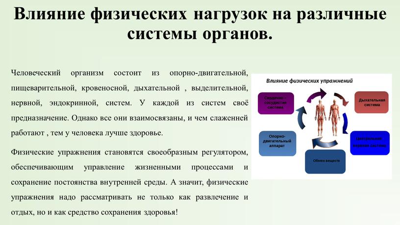 Влияние физических нагрузок на различные системы органов