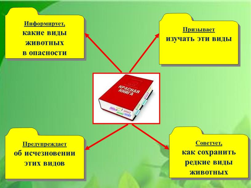 Призывает изучать эти виды Информирует, какие виды животных в опасности