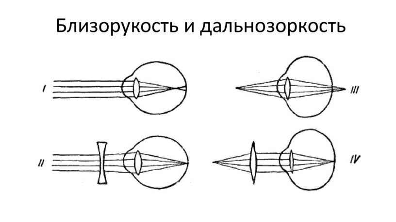 Презентация 8 класс "Зрительный анализатор"