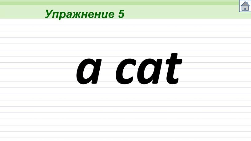 Упражнение 5 a cat