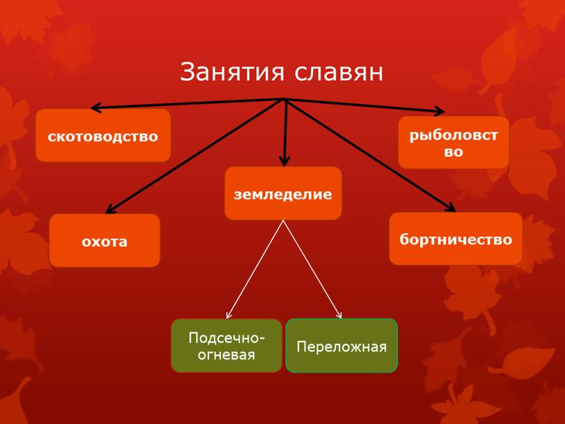 Занятия славян скотоводство земледелие рыболовство охота бортничество