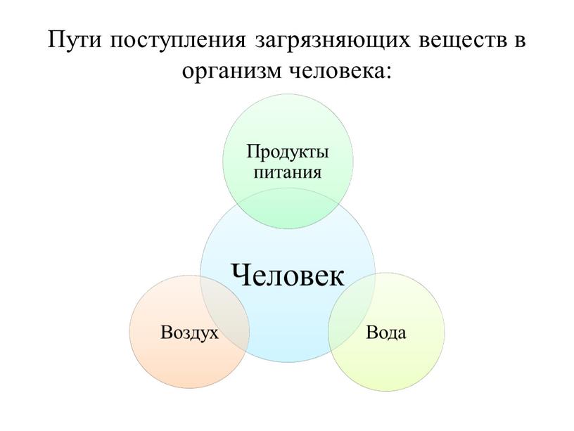 Пути поступления загрязняющих веществ в организм человека: