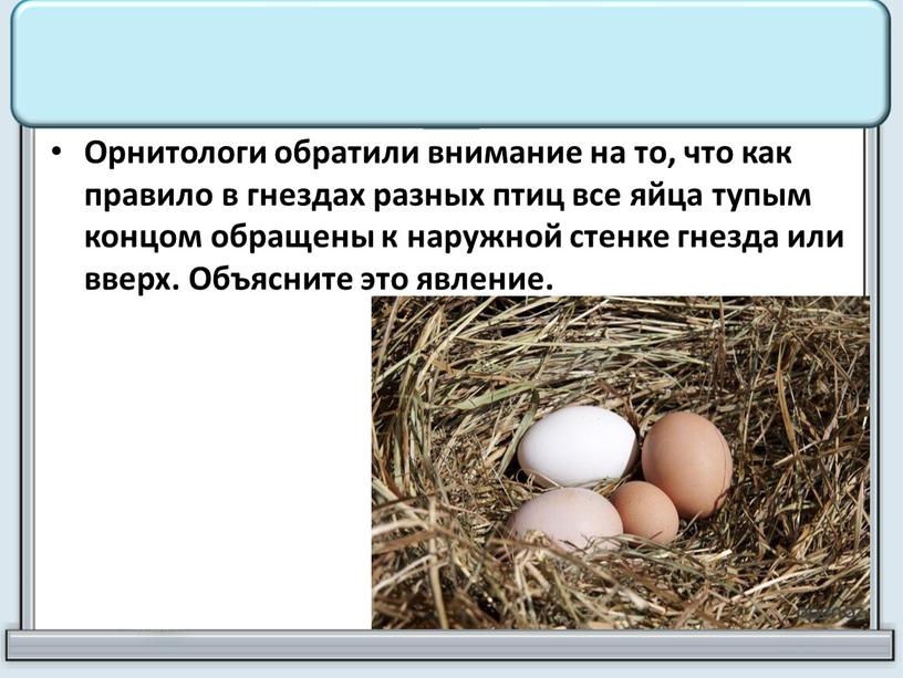 Орнитологи обратили внимание на то, что как правило в гнездах разных птиц все яйца тупым концом обращены к наружной стенке гнезда или вверх