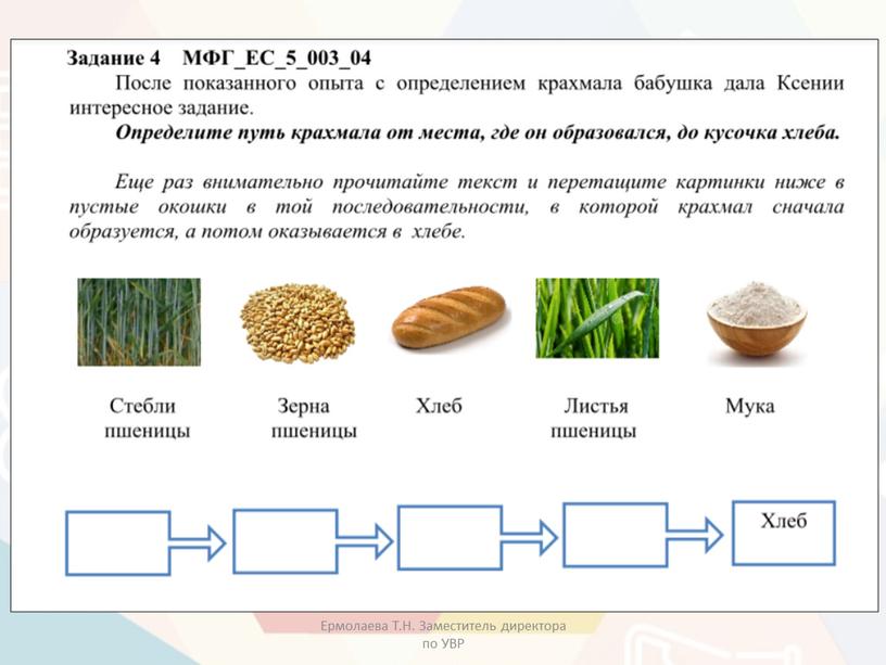 Ермолаева Т.Н. Заместитель директора по