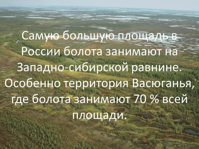 Самую большую площадь в России болота занимают на