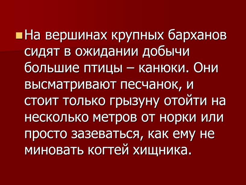 На вершинах крупных барханов сидят в ожидании добычи большие птицы – канюки