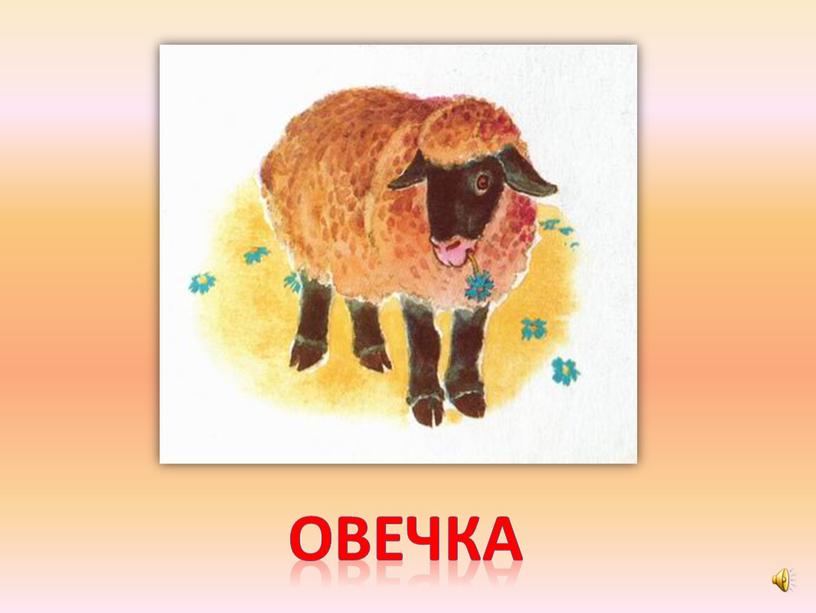 овечка