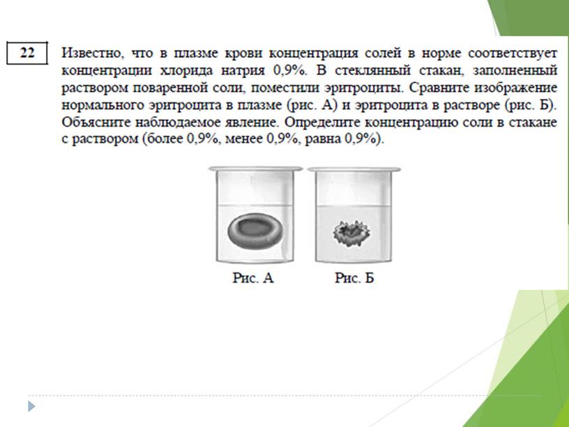 Разбор демо-версии ЕГЭ по биологии