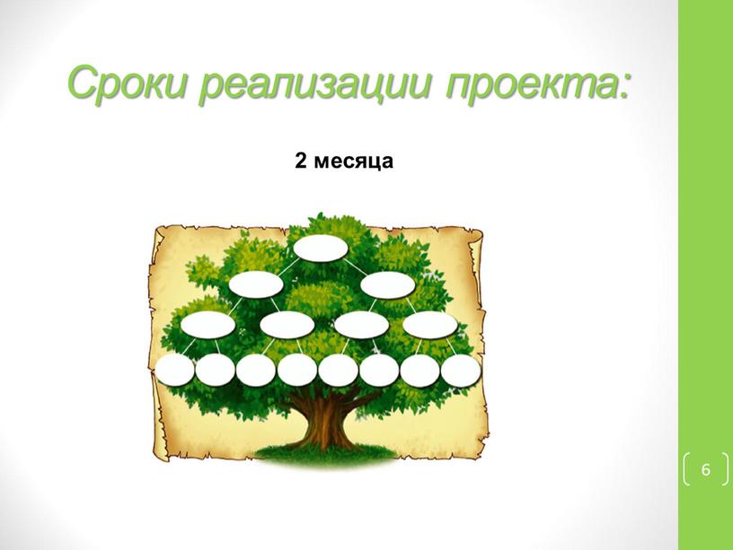 Сроки реализации проекта: 6 2 месяца