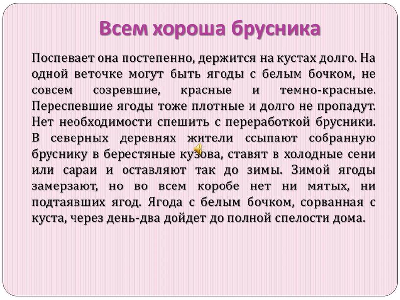 Всем хороша брусника Поспевает она постепенно, держится на кустах долго