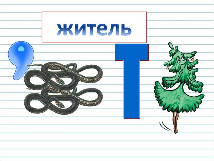 Т житель