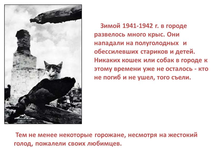 Зимой 1941-1942 г. в городе развелось много крыс