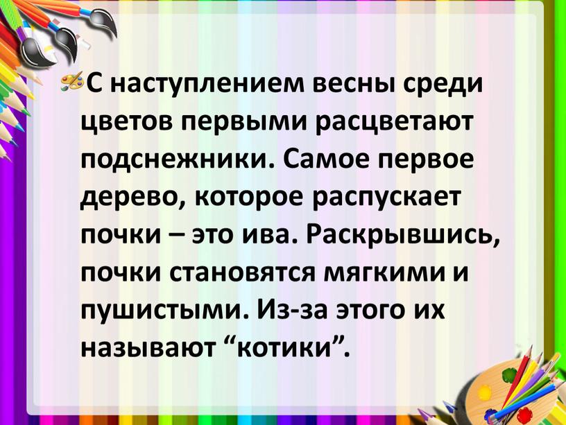 С наступлением весны среди цветов первыми расцветают подснежники