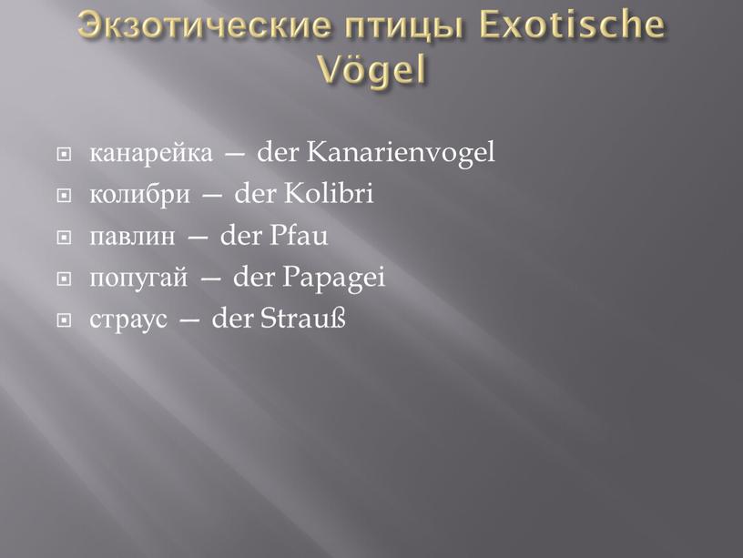 Экзотические птицы Exotische Vögel канарейка — der