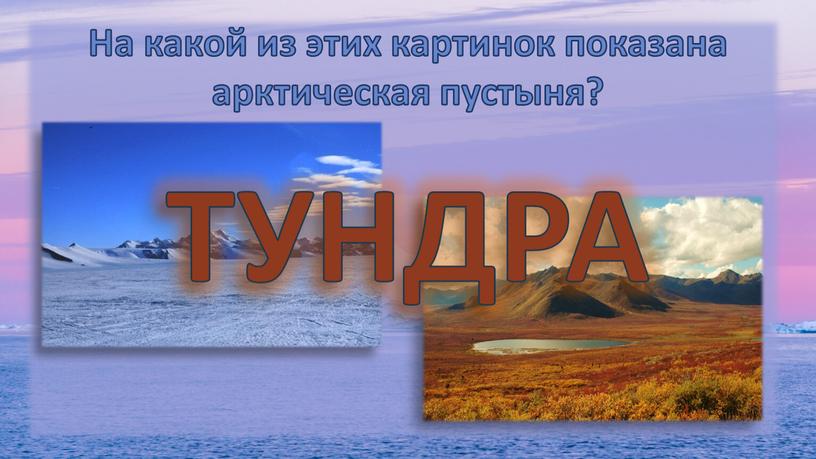 На какой из этих картинок показана арктическая пустыня?