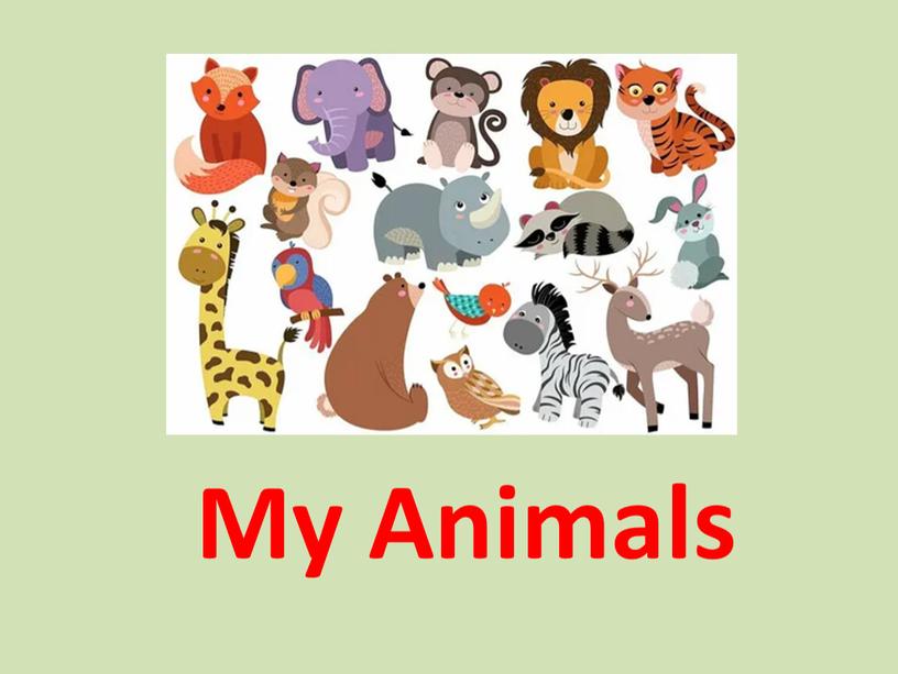 My Animals