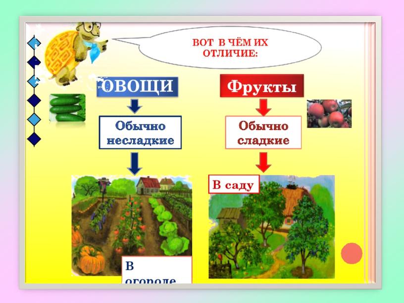 Презентация на тему: "Различение растений огорода (овощи), сада (фрукты, ягоды)