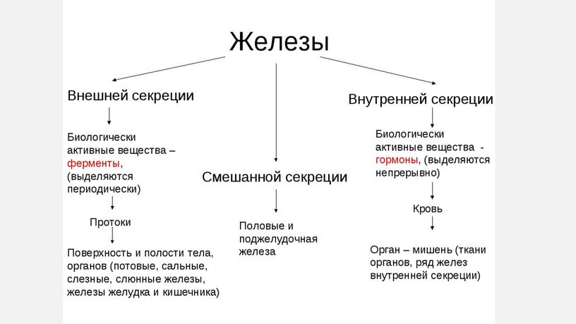 Строение и функции желез внутренней секреции