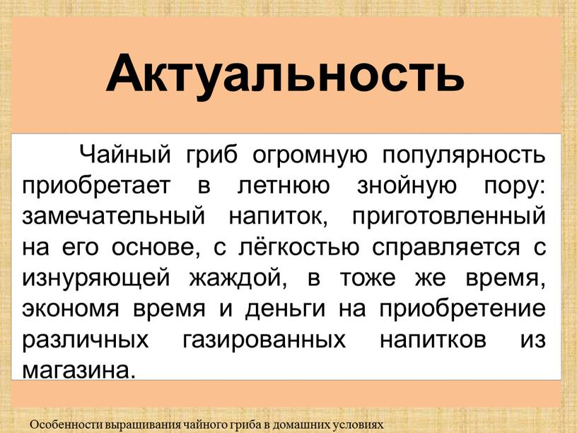 Особенности выращивания чайного гриба в домашних условиях