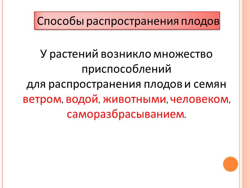 Способы распространения плодов