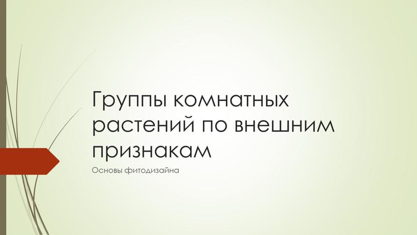 Группы комнатных растений по внешним признакам