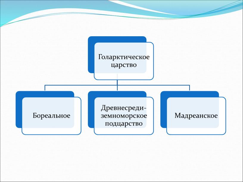 Ботаническое описание голарктического царства