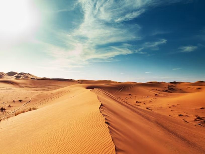 Виртуальная экскурсия для обучающихся начальных классов "Путешествие в пустыню Сахара"
