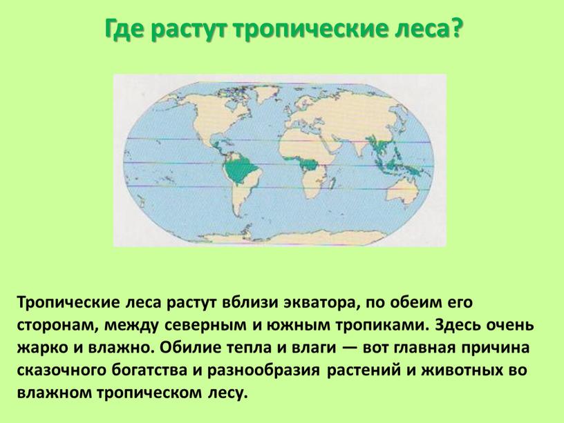 Где растут тропические леса? Тропические леса растут вблизи экватора, по обеим его сторонам, между северным и южным тропиками