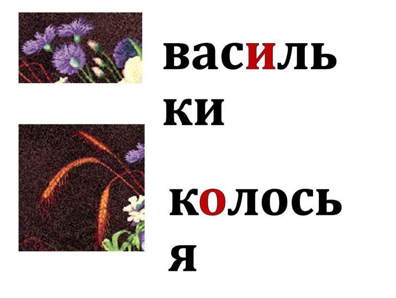 васильки колосья