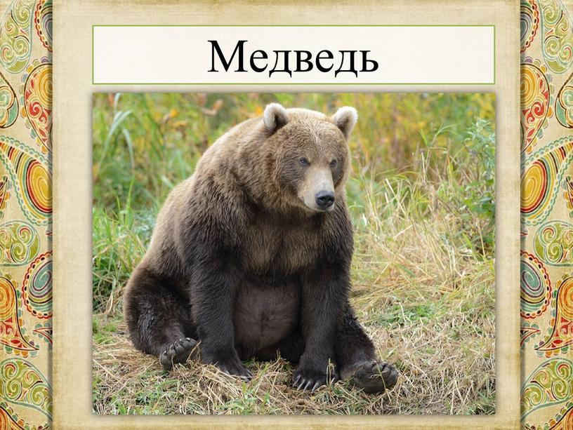 Медведь