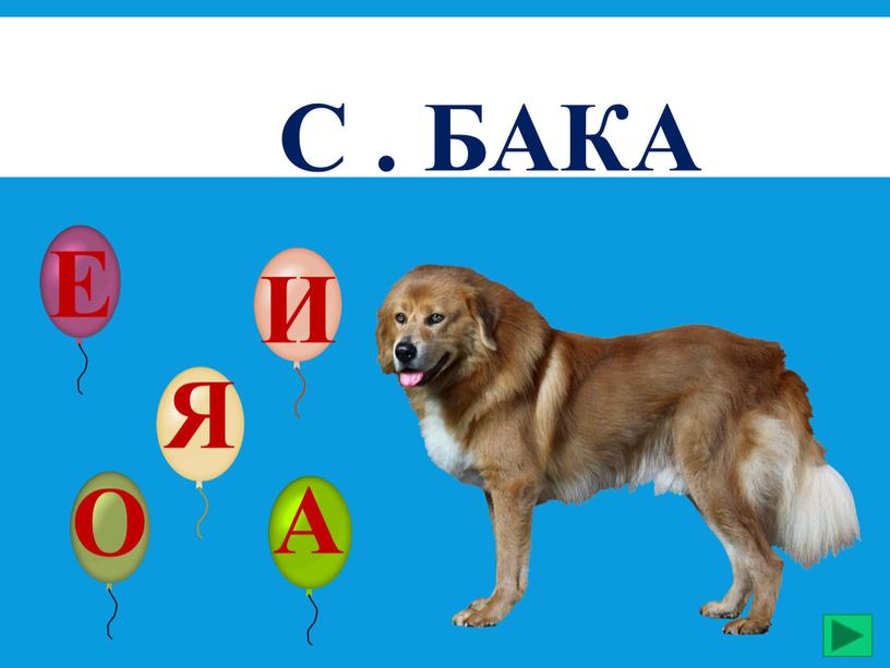 С . БАКА