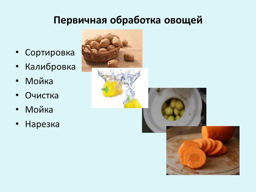 Первичная обработка овощей Сортировка