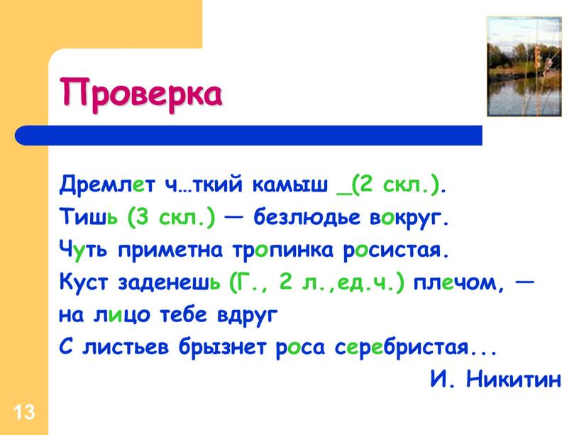 Чуткий проверочное. Дремлет чуткий камыш тишь. Дремлет чуткий камыш тишь безлюдье вокруг чуть приметна тропинка. Никитин дремлет чуткий камыш. Дремлет чуткий камыш тишь безлюдье вокруг троп.