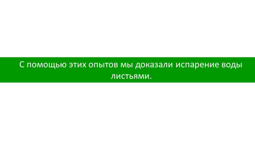 С помощью этих опытов мы доказали испарение воды листьями