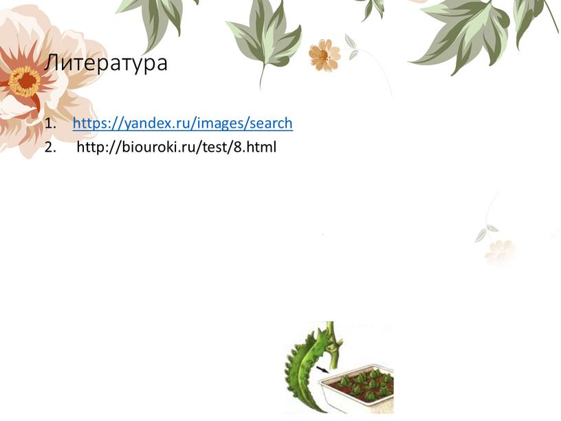 Литература https://yandex.ru/images/search http://biouroki