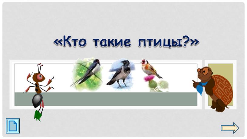 «Кто такие птицы?»