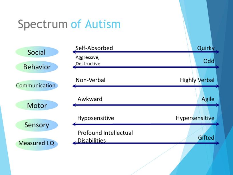 Spectrum of Autism